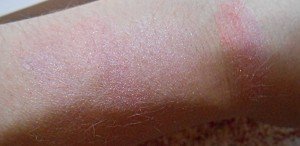 lovely snow dust (1)