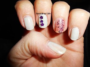 Lakkozz fotózz manikűr (1)