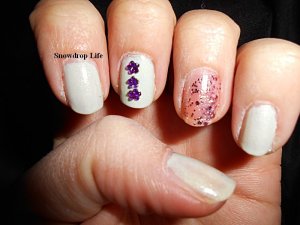 Lakkozz fotózz manikűr (2)