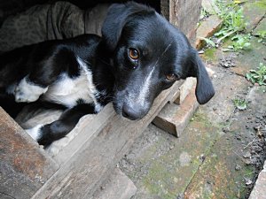 csak úgy képek (3)