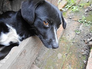 csak úgy képek (4)