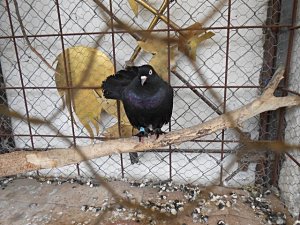 csak úgy képek (5)