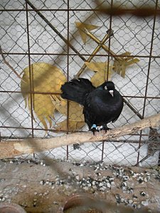 csak úgy képek (6)