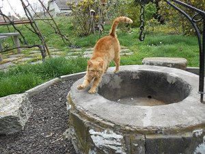 csak úgy képek (7)