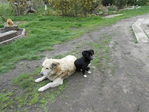 csak úgy képek (8)