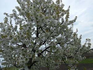 csak úgy képek (9)