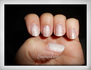 moyra 861 sugar sand (3)