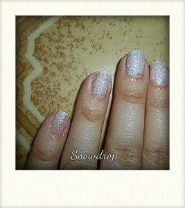 moyra 861 sugar sand (6)