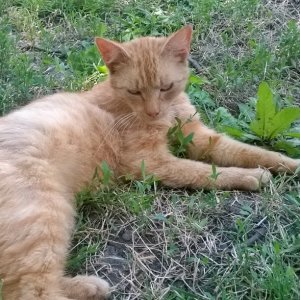 InstagramCapture_067fdda4-e424-48ef-a0af-43694c41d22b_jpg