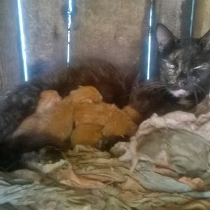 InstagramCapture_2908e006-3591-49ac-9e12-019f2e68aacc_jpg