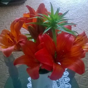 InstagramCapture_7000b37d-f461-427e-a98e-a5c46e4d4ae7_jpg