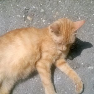 InstagramCapture_74759a1b-f89e-40fb-88a8-7cdf69201a9c_jpg