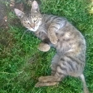 InstagramCapture_a3757010-7e06-45a3-a799-fde14049a7fe_jpg