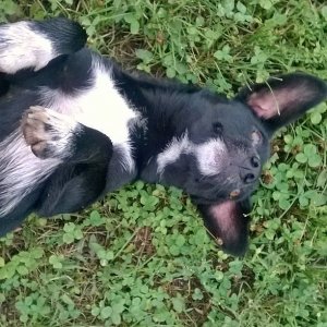 InstagramCapture_0f7f613b-2215-4f87-9b07-48212656df07_jpg